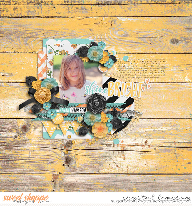 clivesay_shinebright_gallery