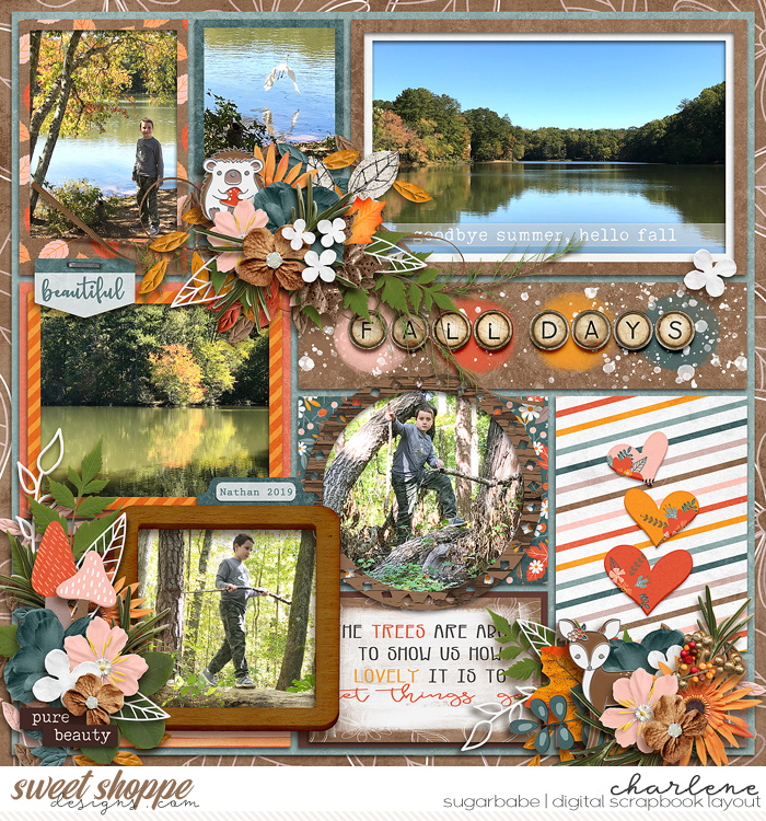 cschneider-09mySEP-riverrose-autumnontheway-Charlene-