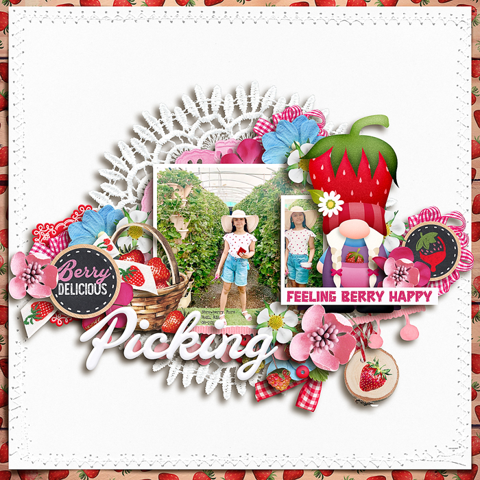 donna-wp-feelingberry-ssd