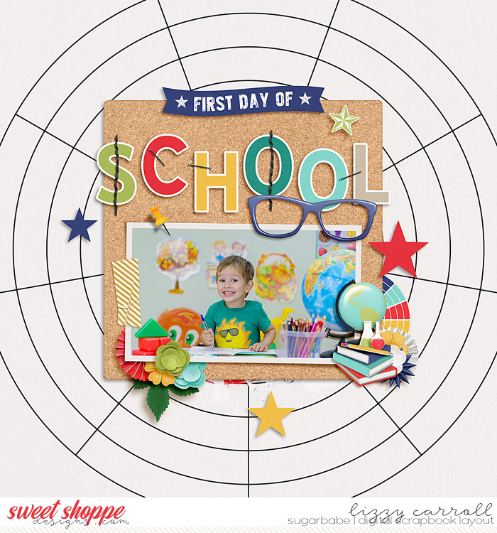 dsi_school-wm_700