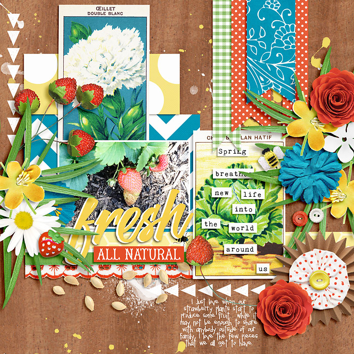 ffPennants5_Fresh700
