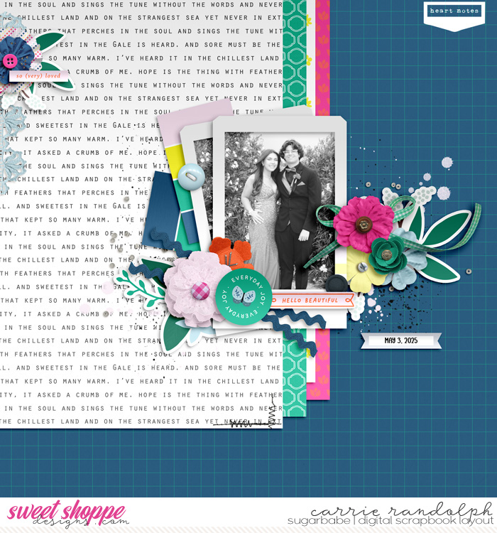 fidelis_spinaliftWebWM