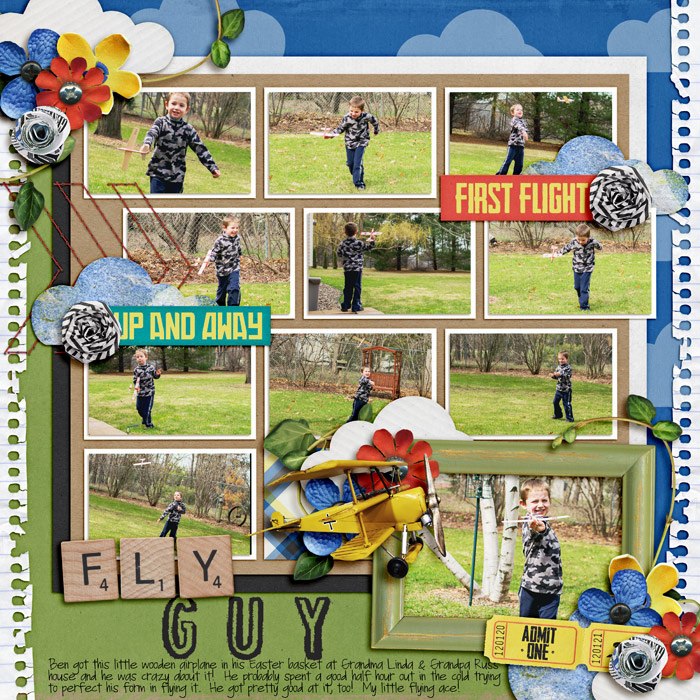 fly-guy