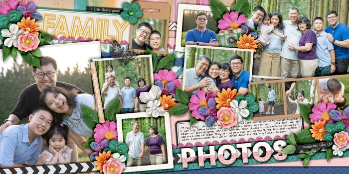 family photos