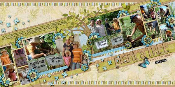 Plant A Tree