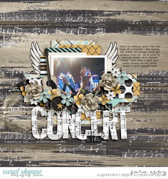 that-concert-high-wm
