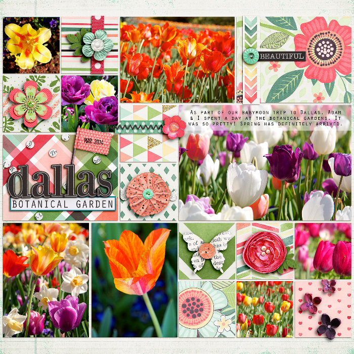 nettio_201418-DallasBotanicalGarden-700