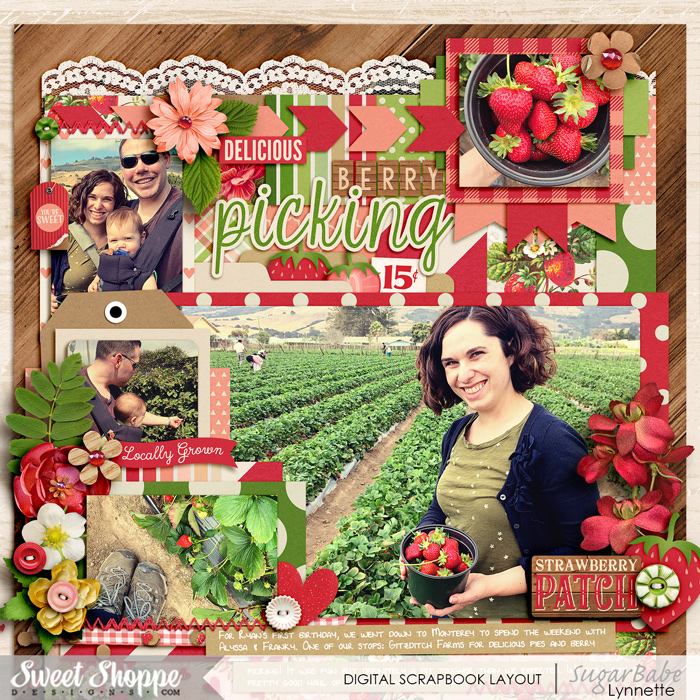 nettio_201527-berrypicking-ssd-700