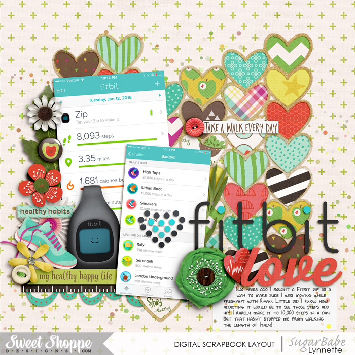 nettio_2016-03-FitbitLove-700-ssd
