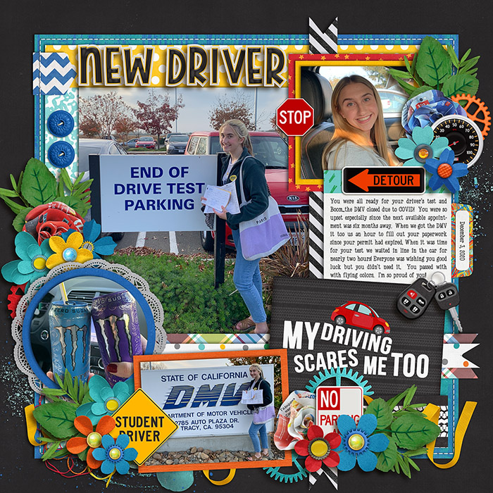 newdriver_700web