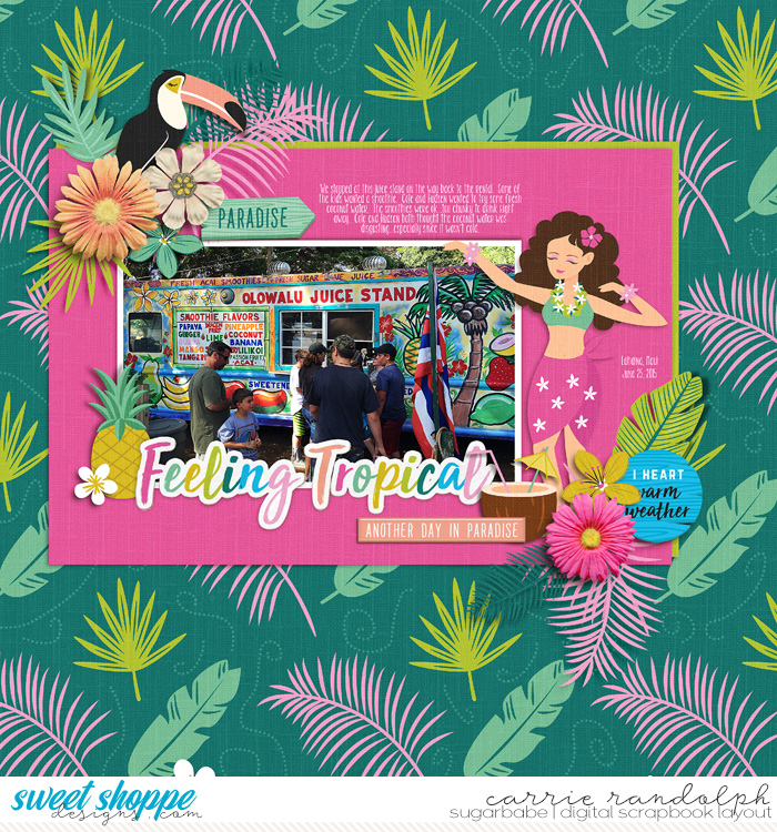 palmparadiseWebWM