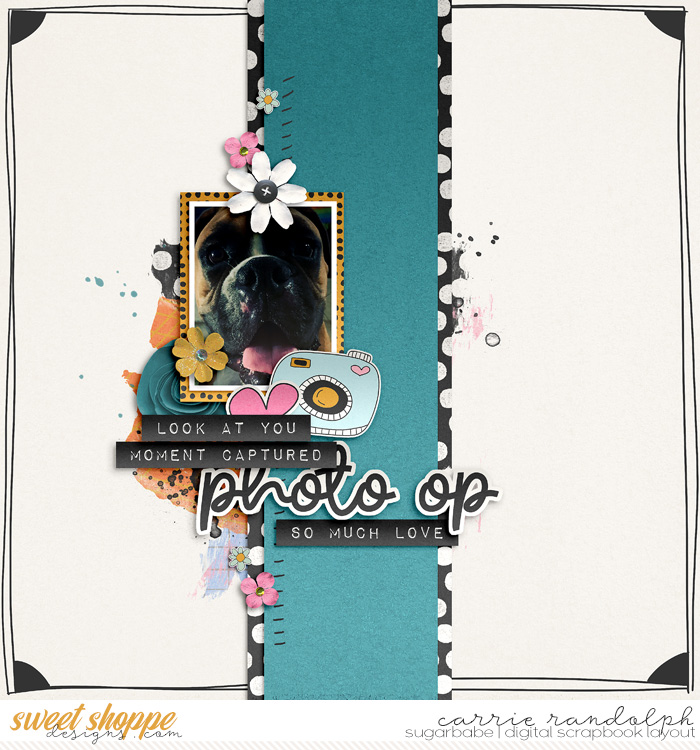 photoopWebWM