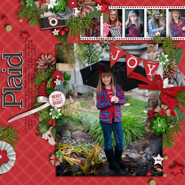 plaidweb1