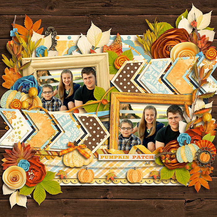 pumpkin-patch-2011-700