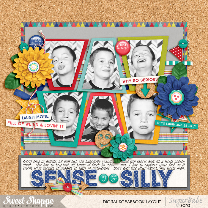 sense-of-sillywm