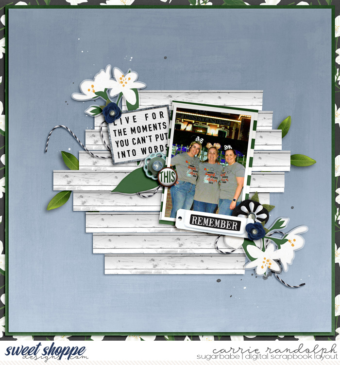 shiplapstyleWebWM
