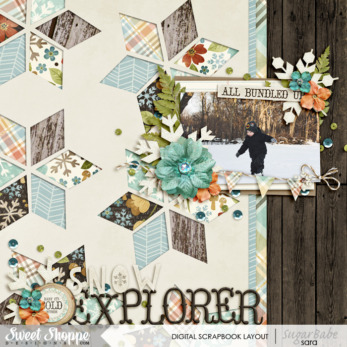snow-explorerwm