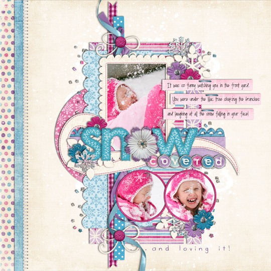 snowcoveredweb