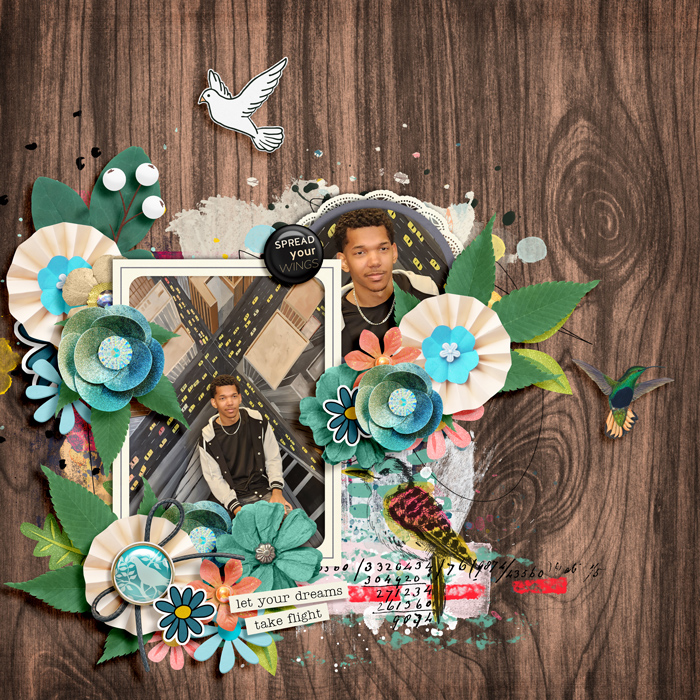 ssd_0217_thebirds-kiana