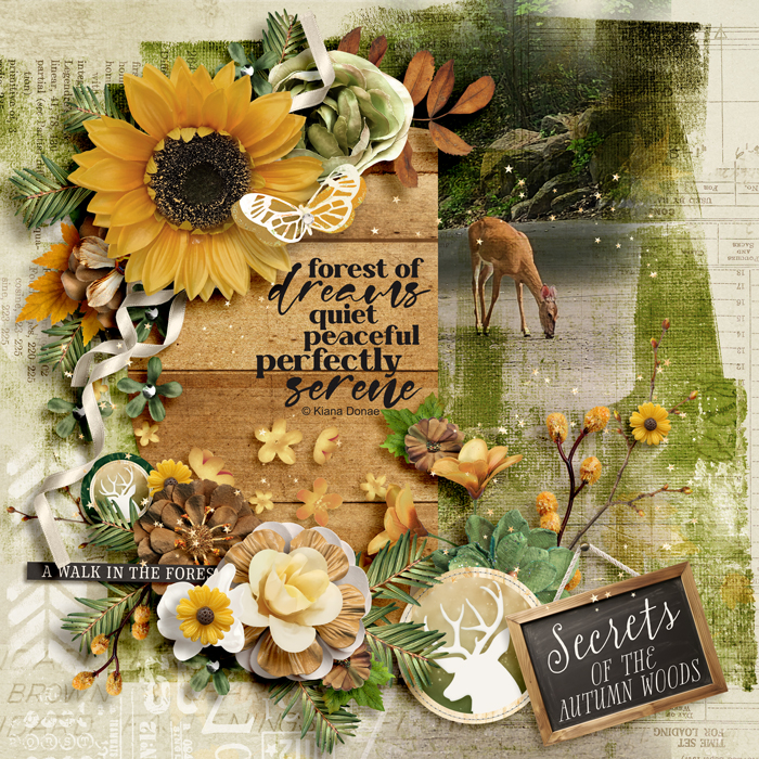 ssd_1028_kcb_autumnforest