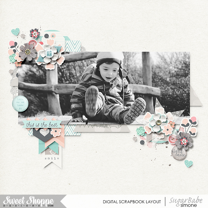 ssd_bingowiththebabes_april1_zp_abeautifullife-march_ttt83_bm