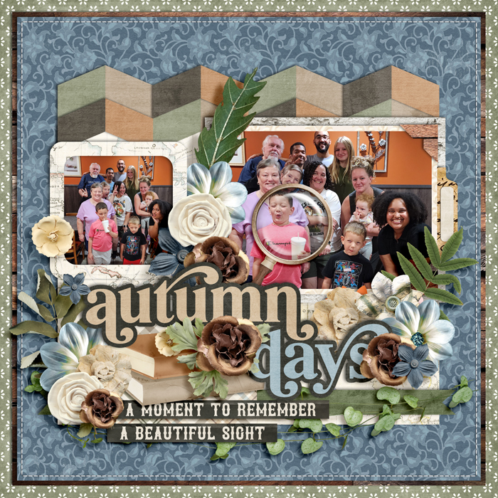 ssd_dsd_cindy_dsi_historic_fallfun