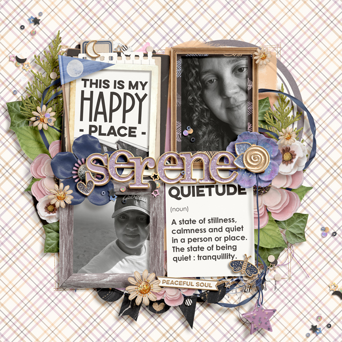 ssd_dsd_ezane_quietude