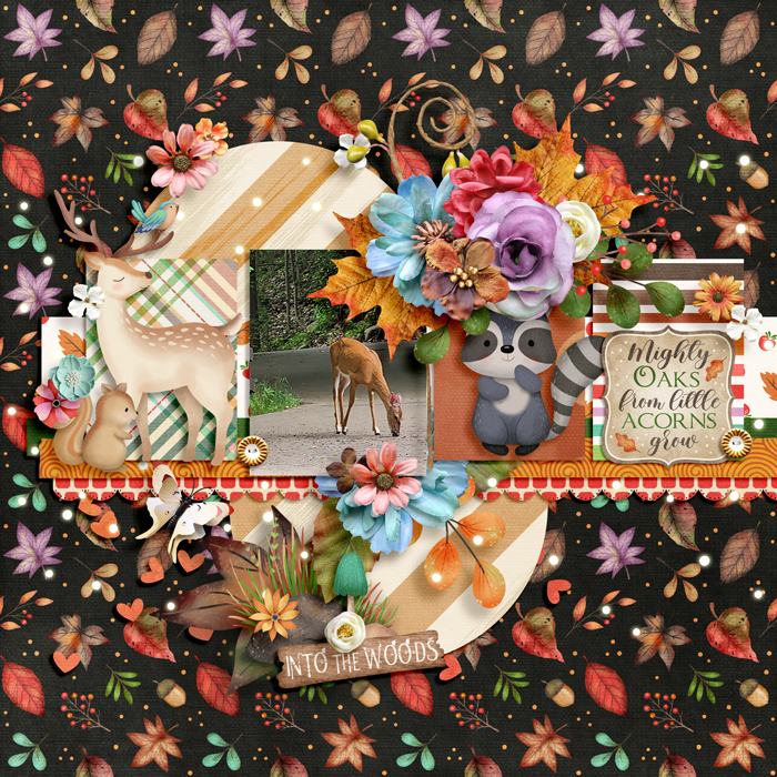 ssd_dsd_lliella-enchantedwoods