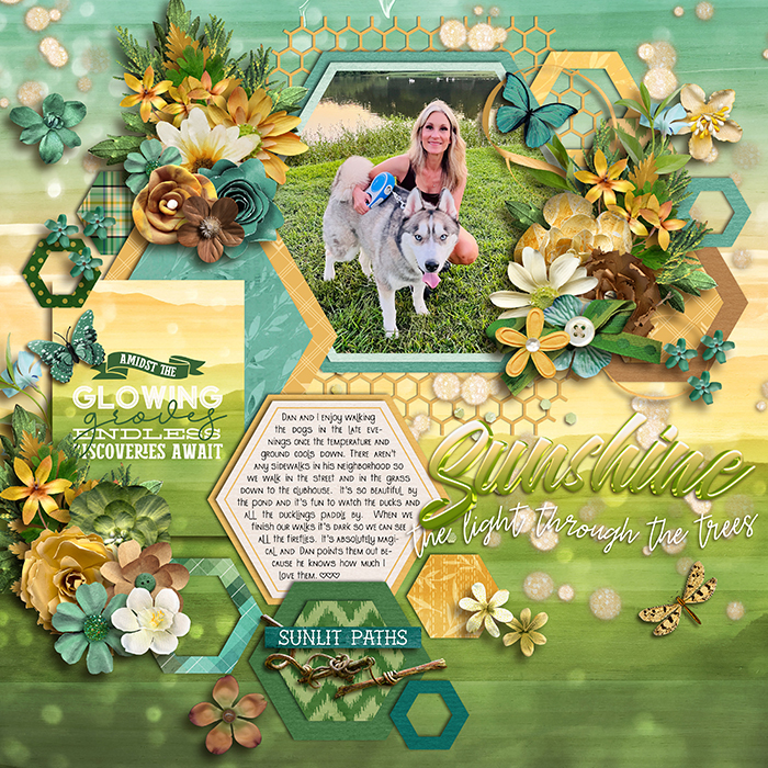 sunshine_700web10