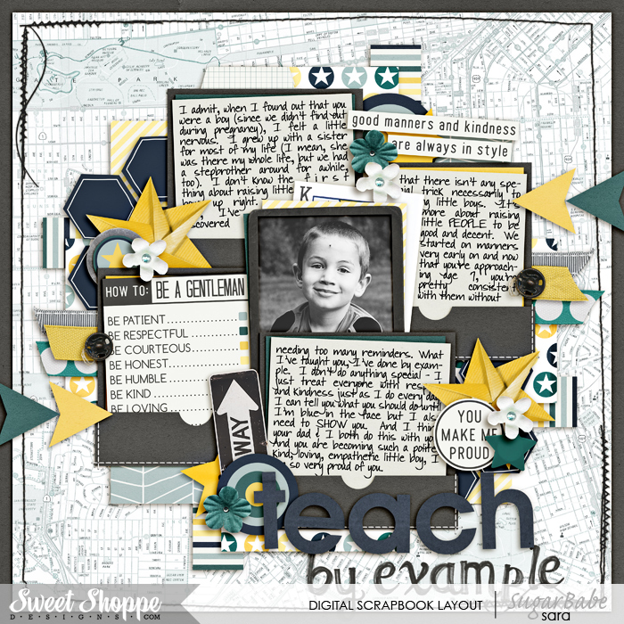 teach-by-examplewm