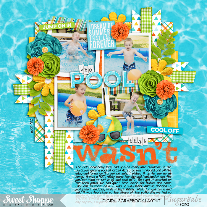 the-pool-that-wasn_twm