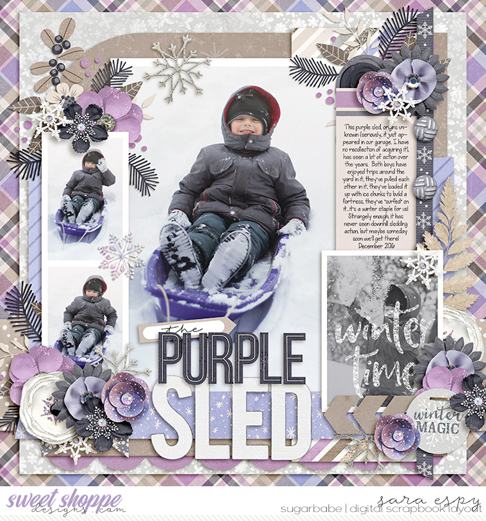 the-purple-sled-wm