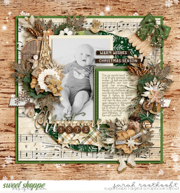 02ChristmasSpiritPeaceOnEarthSingleton78Ornamentweb.jpg
