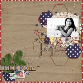 06-26-12-jf-jbarrette-lifeloveandliberty-treed_hexagons.jpg