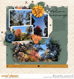 10-21-Autumn-Mornings-SSD.jpg