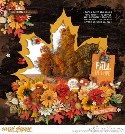 10-26_WM_STORYBOOK_FALL_KCB_BONFIRE_NIGHT_AMBER.jpg
