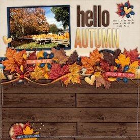 101014helloautumn700.jpg