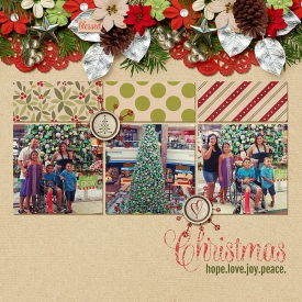 11-01-13-marnel-b-pspringmann-advent-PLH_JKit.jpg