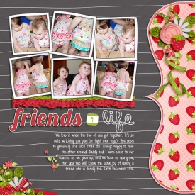 11-12-28-Friends-for-life-web.jpg