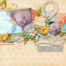 110826-Two-Weeks.jpg