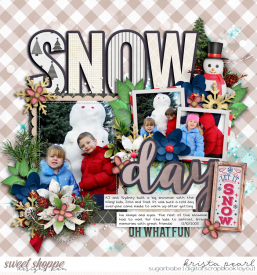 12-05-Snow-Day-SSD.jpg