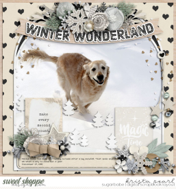 12-15-Winter-WonderlandSSD.jpg