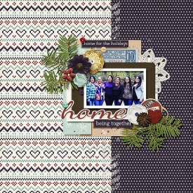 12-16-15-marnel-ayi-juno-snowplacelhome.jpg