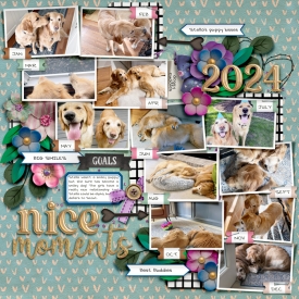 12-24-Nice-Moments-Dogs-700.jpg