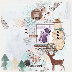 12-27-15-marnel-hw-ayi_rusticwinter.jpg