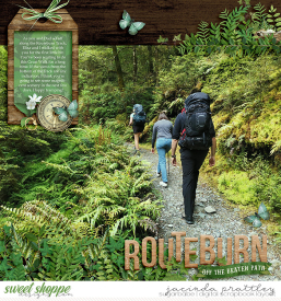 121-12-16-Routeburn-700b.jpg