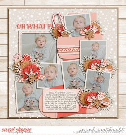 12PhotoPalooza483Christmas2web.jpg