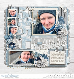 12WoodlandChristmasWinterWondersSingle206Countdownweb.jpg