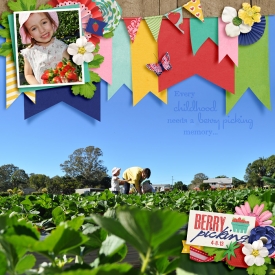 13-08-04-Berry-picking-700.jpg