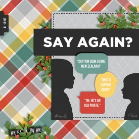 14-01-30-Say-again-700.jpg